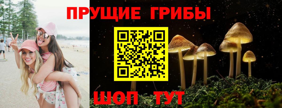 Псилоцибиновые грибы мицелий  сколько стоит  Алексин  Вход с VPN 